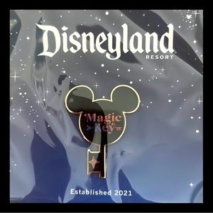 Disneyland Magic Key Pin